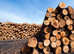 木材、竹制品防腐抗菌剂